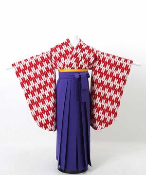 卒業式袴(小学生用) | 赤 小矢絣 紫袴