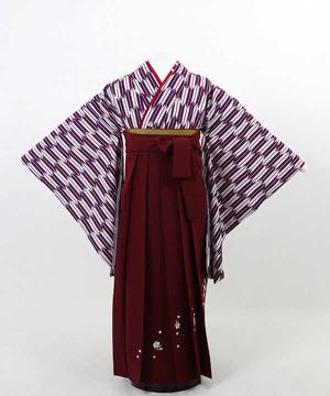 卒業式袴(小学生用) | 紫 小矢絣 刺繍入り臙脂袴