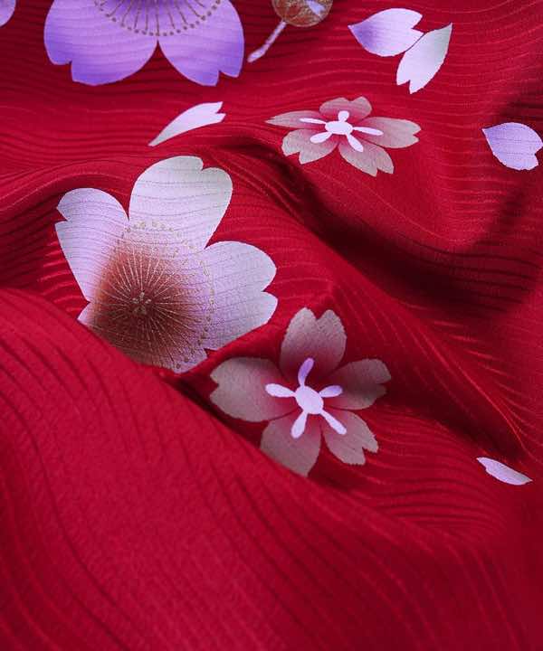 卒業式袴レンタル | 大きな桜に古典文様