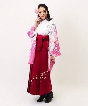 卒業式袴 | 白地にピンク暈しに乱菊 紅桜刺繍袴