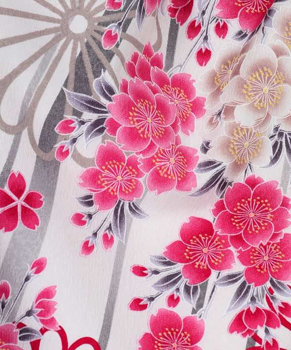 卒業式袴レンタル | 白地に菊と八重桜 桜地紋入りグラデーション紫袴