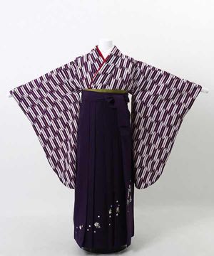 卒業式袴(小学生用) | 紫 小矢絣 刺繍入り紫袴