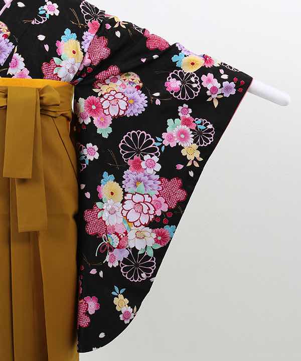 卒業式袴(小学生用)レンタル | 黒地に色とりどりの桜と菊 辛子色袴