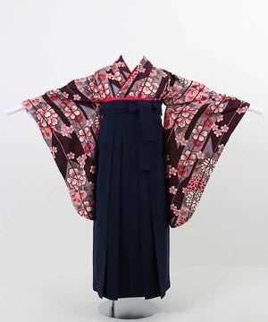 卒業式袴(小学生用) | 小豆地矢絣 桜と菊 濃紺袴