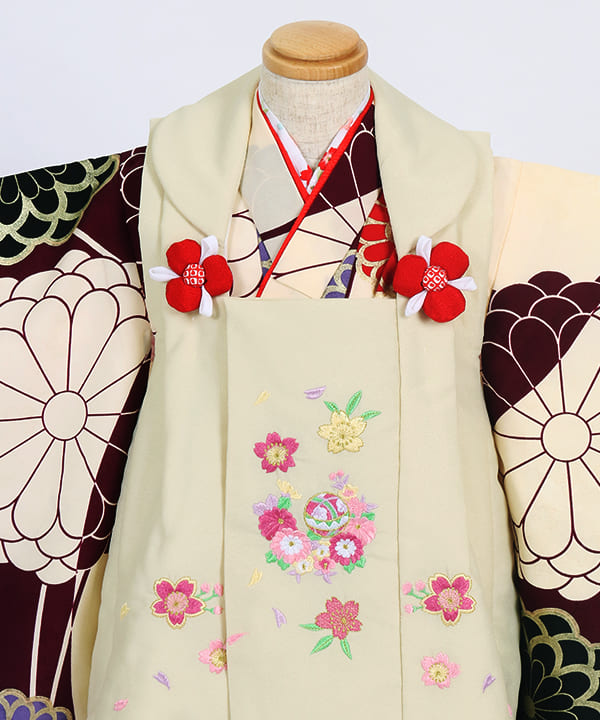 七五三(三歳女の子)レンタル | レトロなクリーム地に大輪の菊 花合せの被布