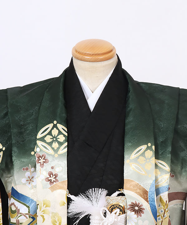 七五三(五歳)レンタル | 深緑色 青海波文様と鷹 暈しの金丸紋袴