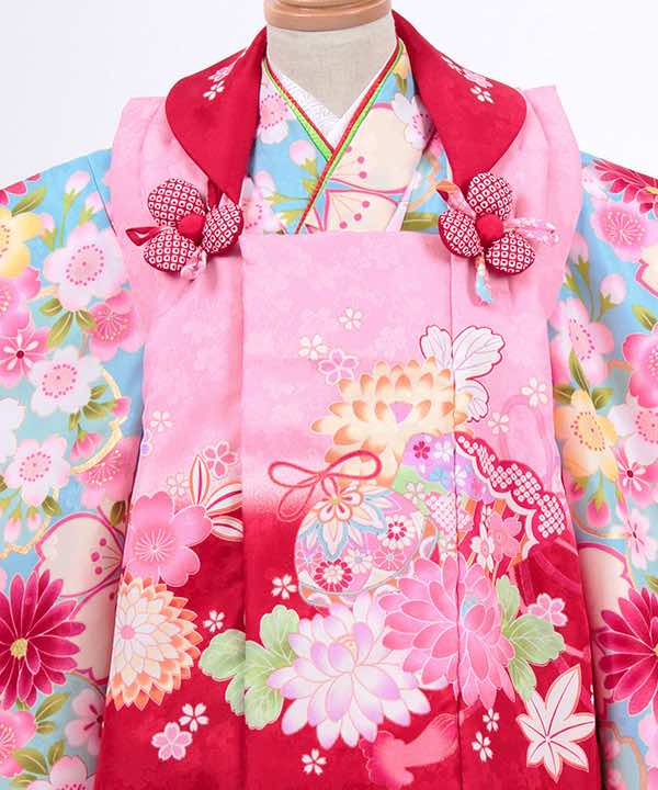 七五三(三歳)レンタル | 水色地に満開の桜と菊の花 ピンク×赤被布に鞠と菊