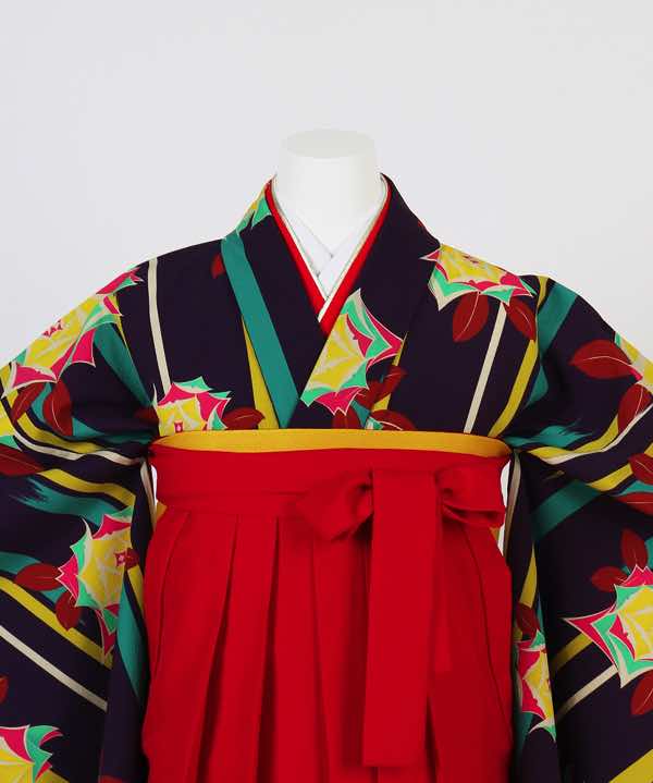 卒業式袴(小学生用)レンタル | 紫地に薔薇の花 刺繍入り赤袴