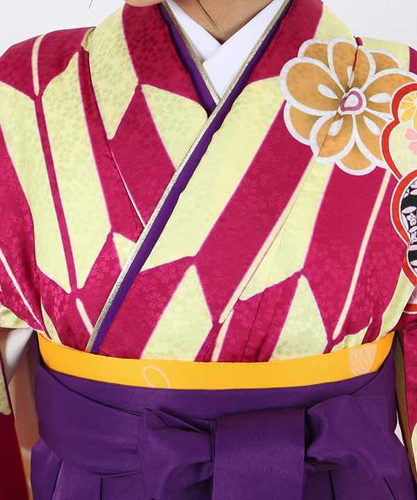 卒業式袴レンタル | 黄色地に紫矢絣と花柄 紫袴