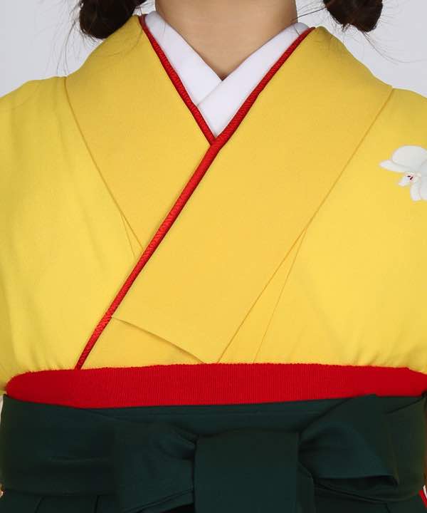 卒業式袴レンタル | 黄色地に胡蝶蘭 緑袴