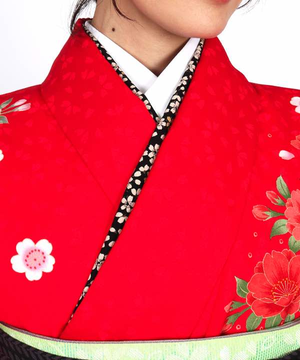 卒業式袴レンタル | 赤地に芍薬と桜 双葉ストライプの黒袴